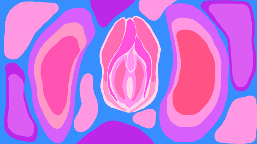 Vulva ilustration