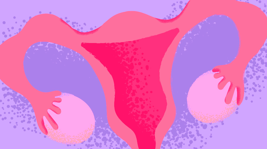 Uterus