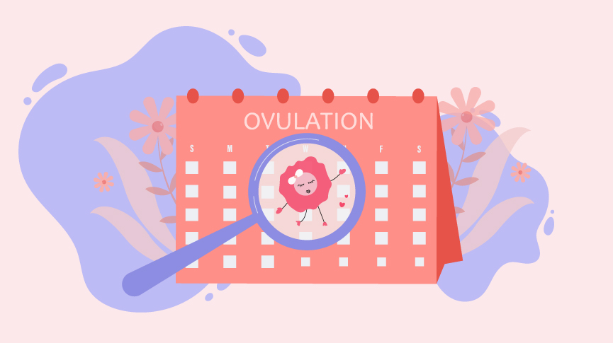 Horny ovulation more during 6 Strange