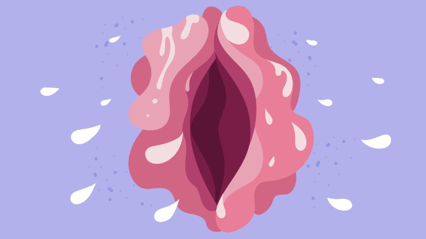 Wet vagina illustration