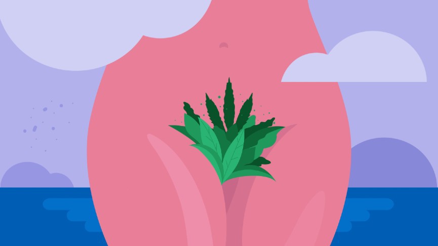 Cannabis and reproductive health