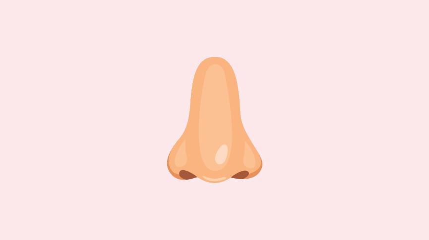 pregnancy nose