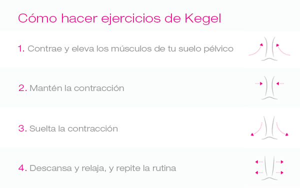 Kegel ejercicios postparto de