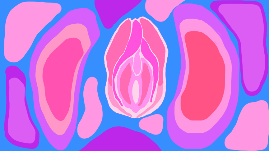 LA VAGINA Y LA VULVA