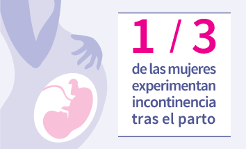 Novedades - Infografía sobre la importancia de los ejercicios de Kegel tTras el parto