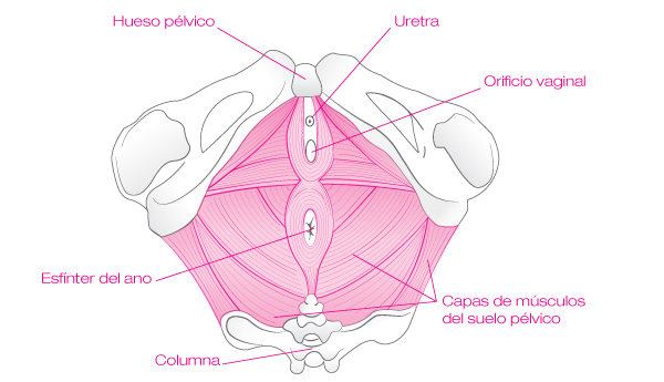 sobre_suelo_pelvico