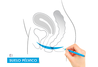 que_es_suelo_pelvico