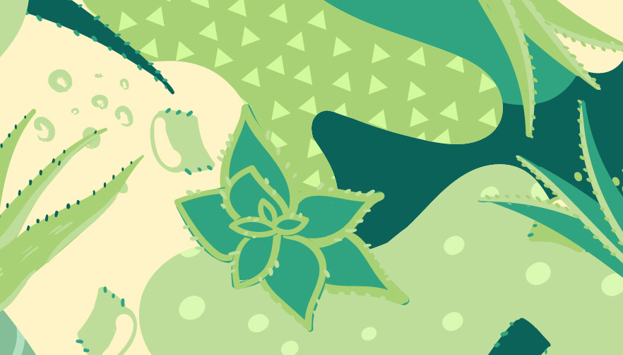 aloe vera para salud feminina